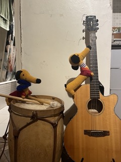 We formed a band.
<br>Still working on our sound.
<br>
<br>🎸🥁🐾