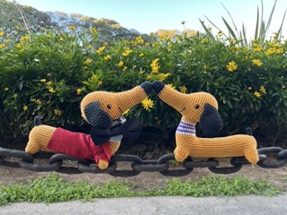Everyone, this is Eury.
<br>We met. We booped. We bloomed.
<br>
<br>🌼