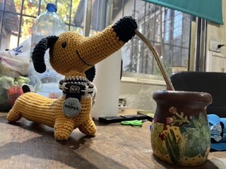 I’ve never had mate.
<br>But I’ve held the cup.
<br>That seems to be enough.
<br>🧉