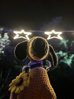 They told me to reach for the stars.
<br>I waited until they were low enough.
<br>
<br>🌟