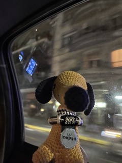 This was the night everything began.
<br>I had no idea what I was doing in that taxi,
<br>just that the city lights felt like stars
<br>and someone had called me Orfeo.
<br>
<br>Hello. I'm Orfeo. I love. 🐶💛