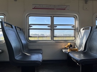 Technically I’m not allowed on trains.
<br>But I looked like I belonged.
<br>So they didn’t say anything.