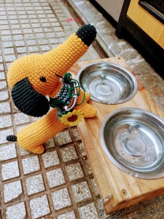 There were bowls.
<br>They were empty.
<br>I stayed hopeful longer than I’d like to admit.